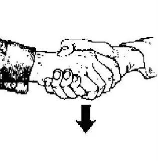 Lenguaje Corporal
