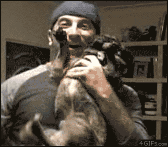 Entra y reite con los mejores gifs de animales