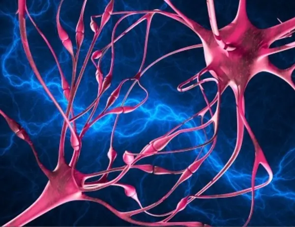 Esta es la máxima responsable del alzhéimer