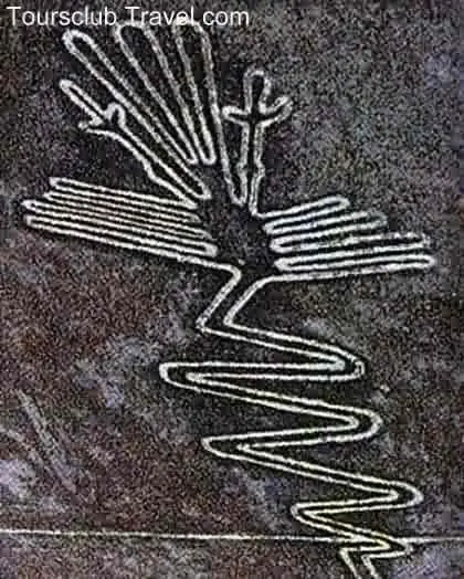 nazca