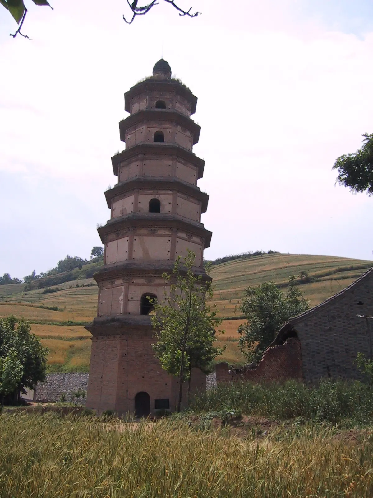 templo templo