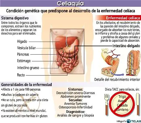 felicidad