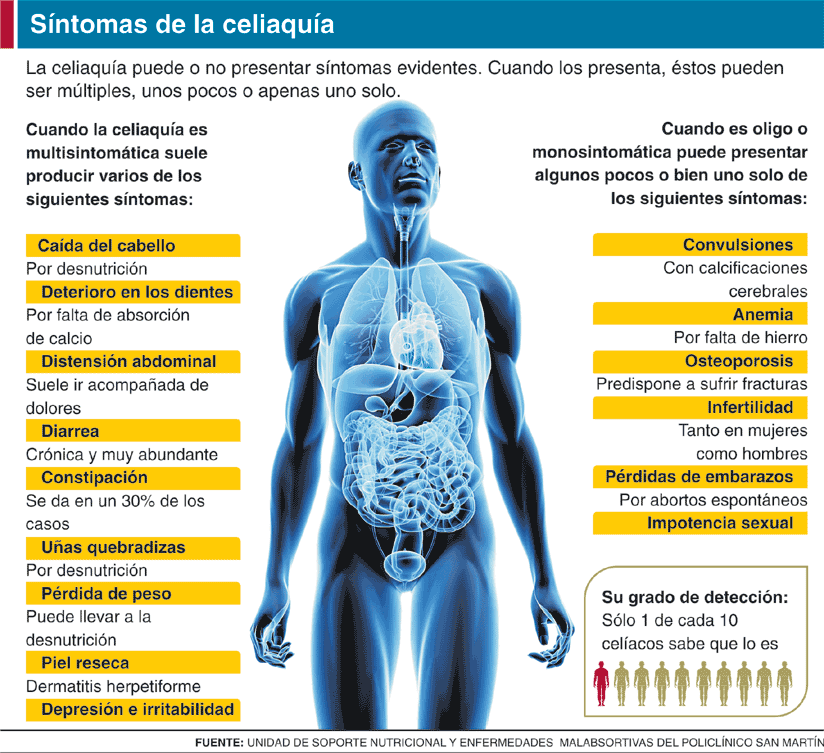 ayuda