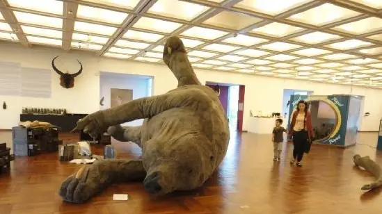 noche de los museos
