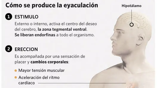 mitos