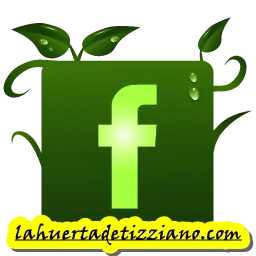 plantacion