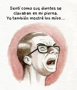 malvinas