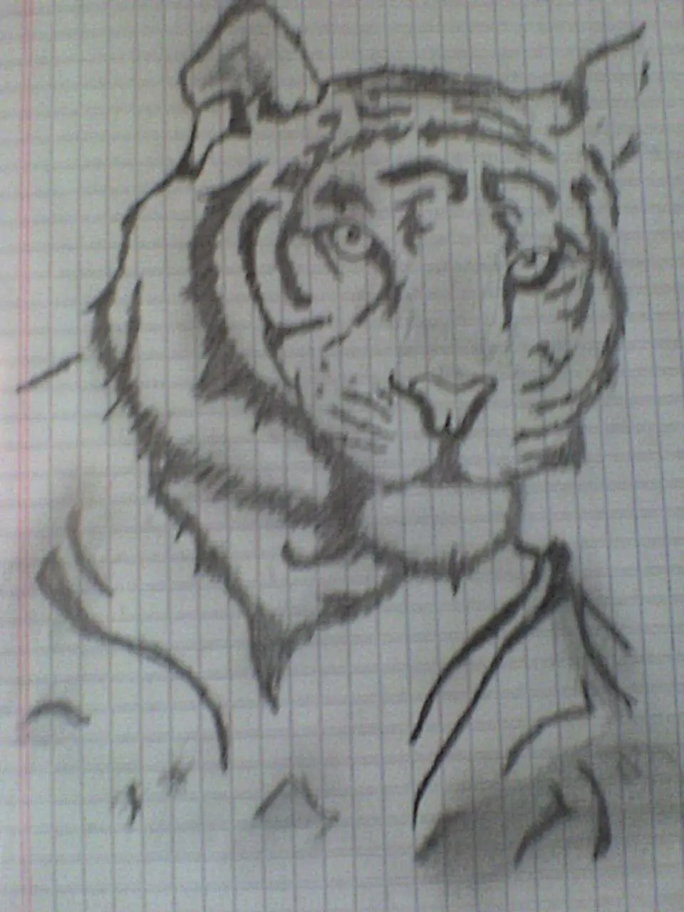 rey leon