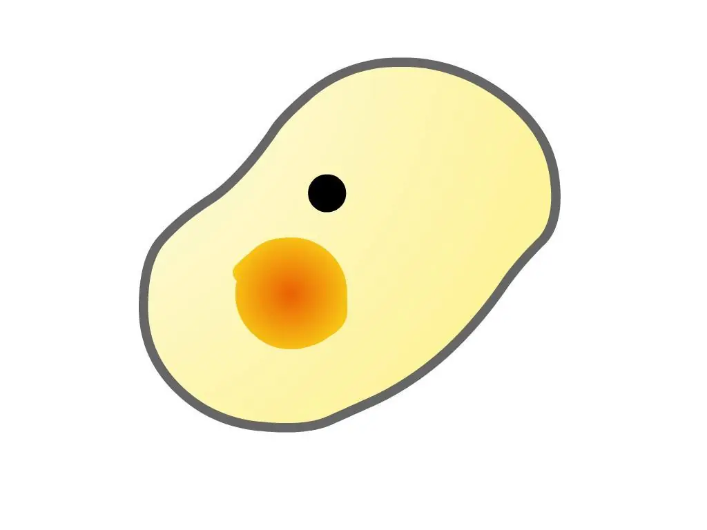 Aditivos