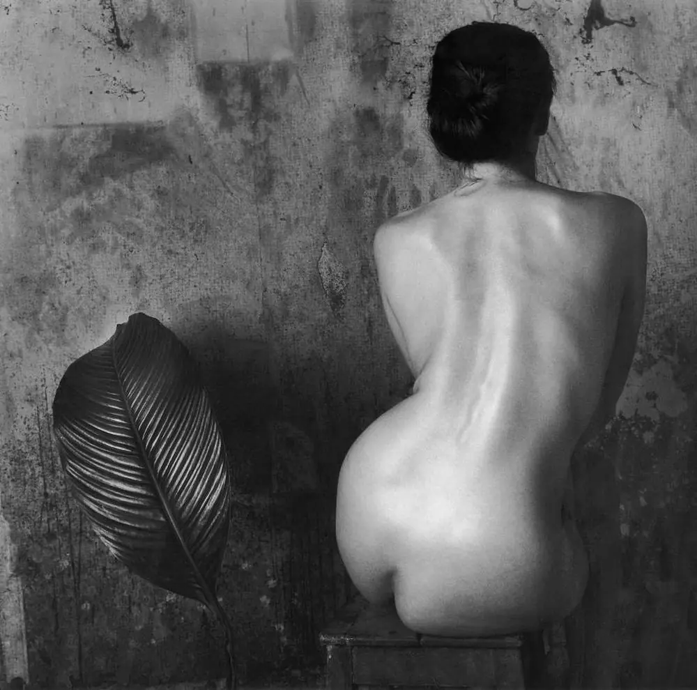 Desnudo