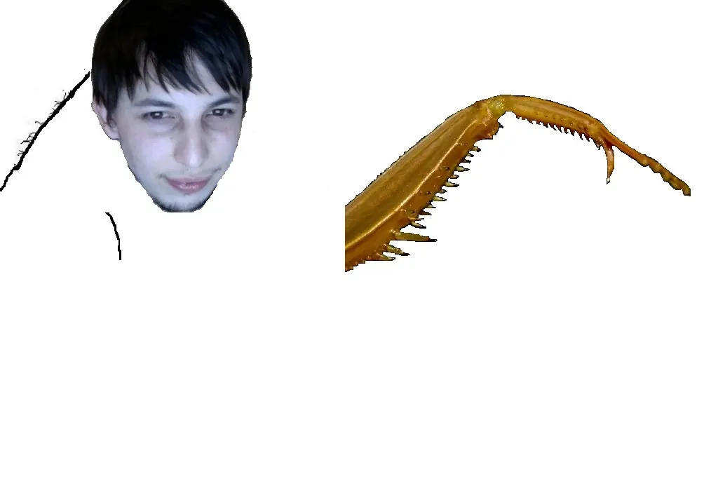 Hice a herni deformito adefesio y te lo muestro + YAPA