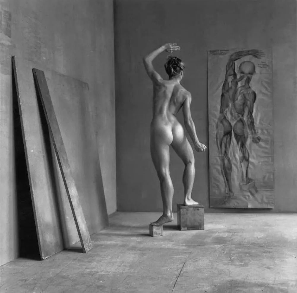 Desnudo