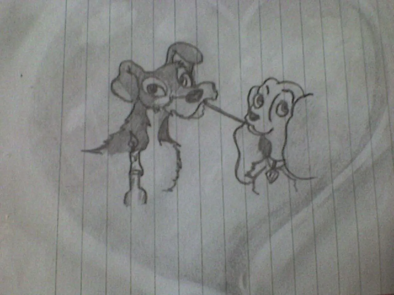 Animales