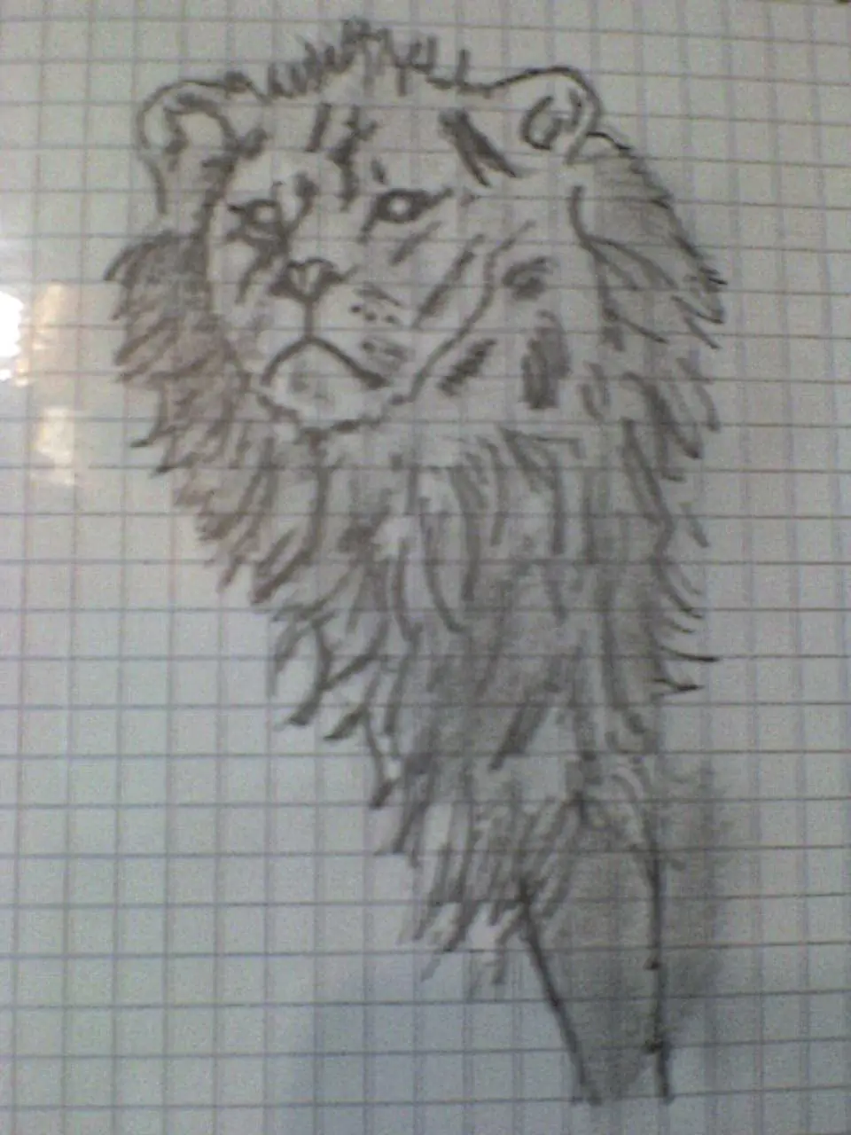 tigre