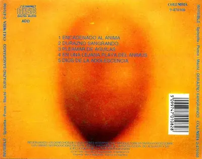 rock nacional
