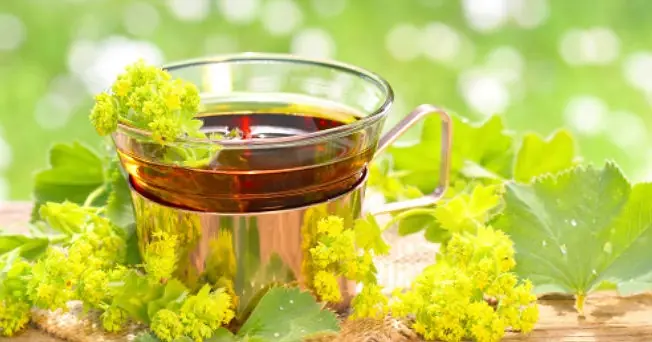 Top 7 de infusiones quema grasa