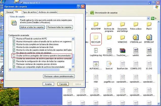 Eliminar archivos temporales del PC