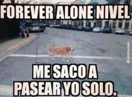 humor grafico
