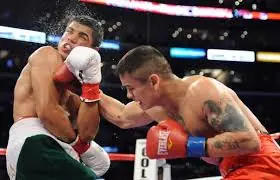 boxeo