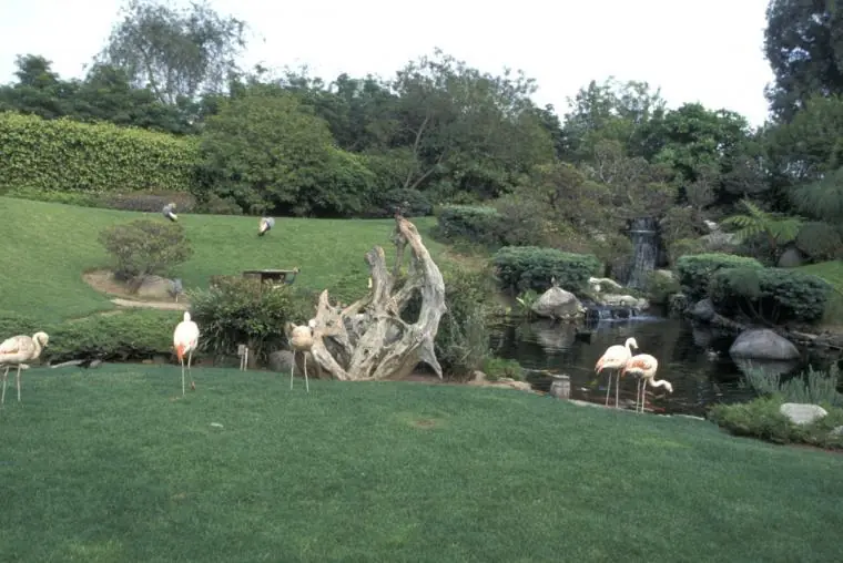 curiosidades de la mansion playboy!entra lince!