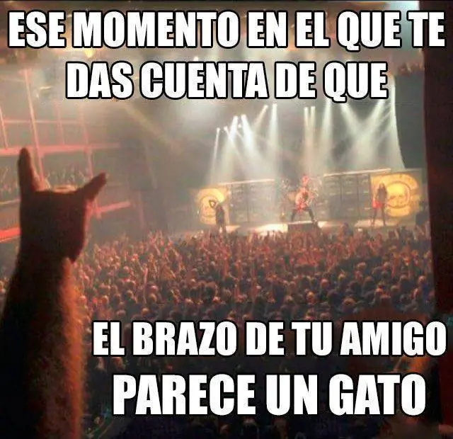 animales sueltos