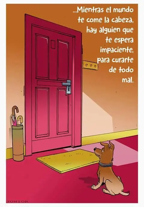 Animaladas 2da Parte