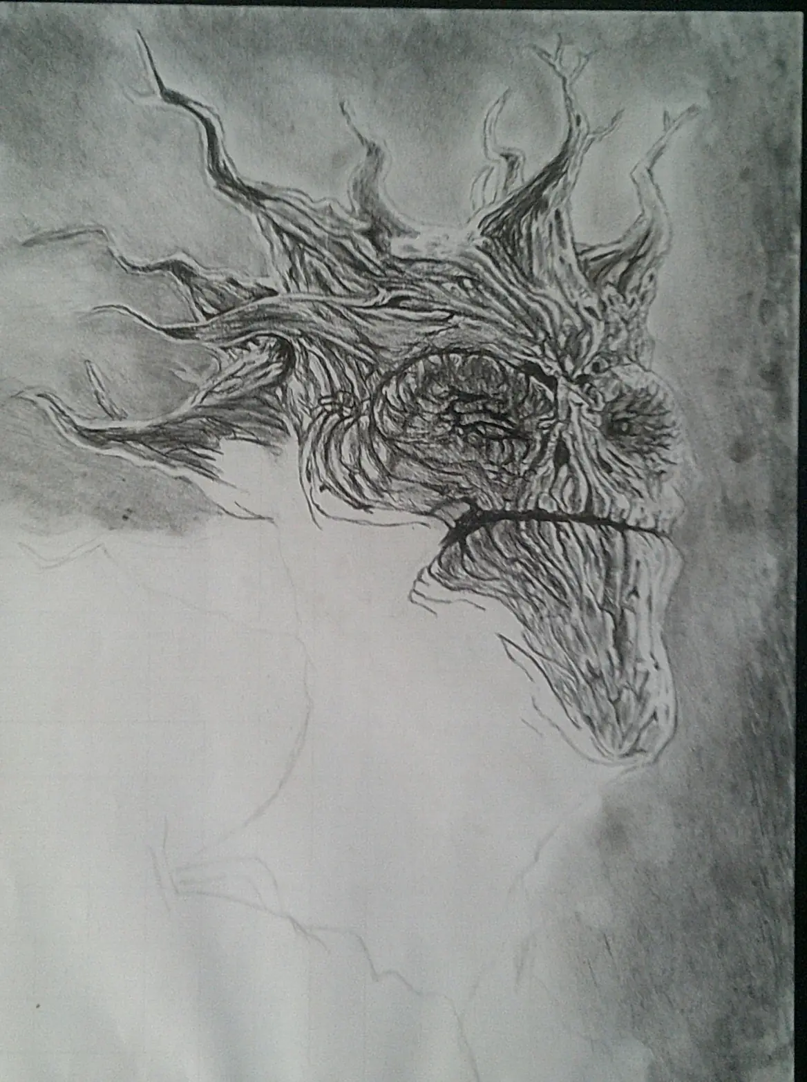 Groot