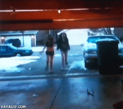 Gifs