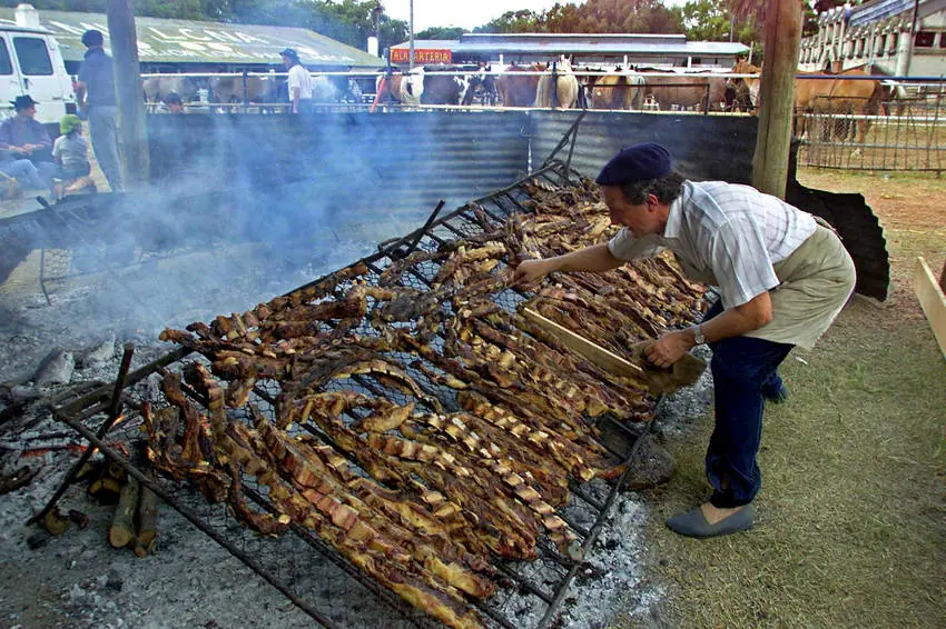 carne carne