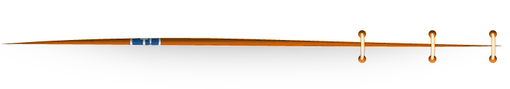 Animales En Su Etapa De Gestación.