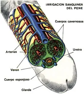 estuve con mi prima