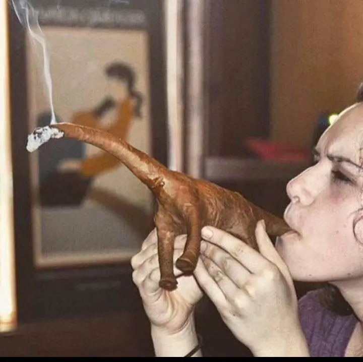 imagenes graciosas