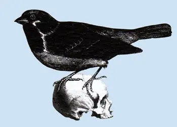 perturbador