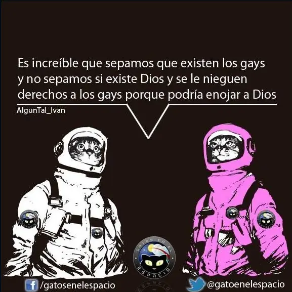 gays gays