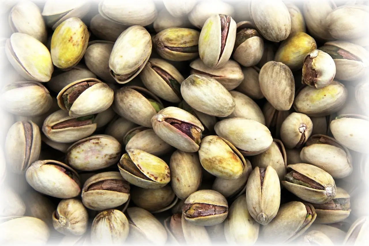 El Pistacho. Sus Propiedades y Beneficios