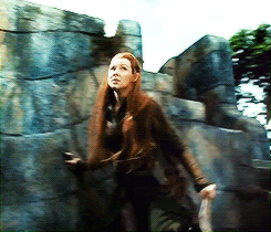 senor de los anillos