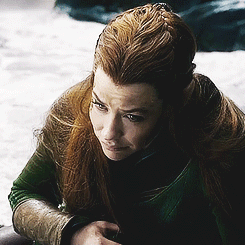 senor de los anillos