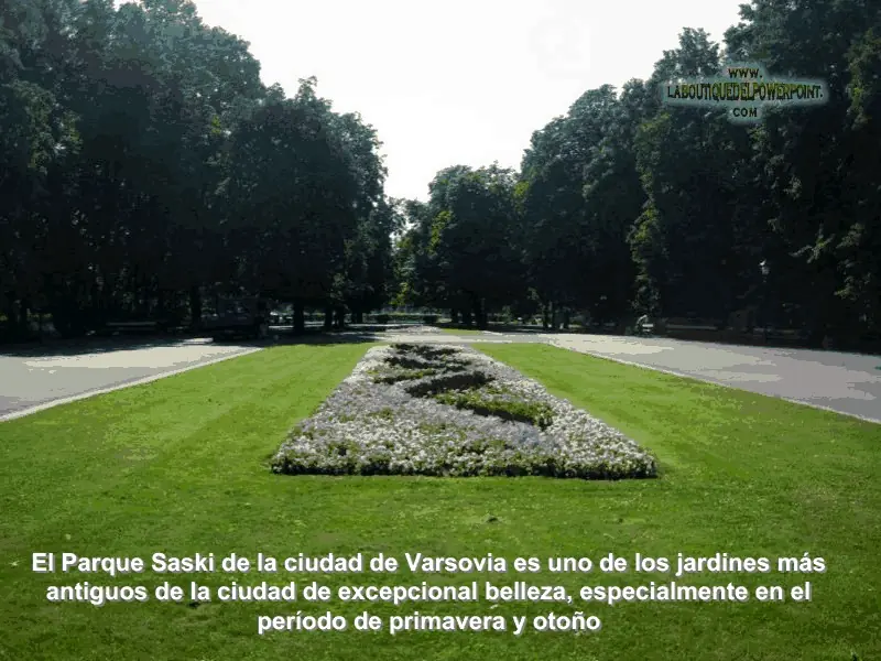viaje