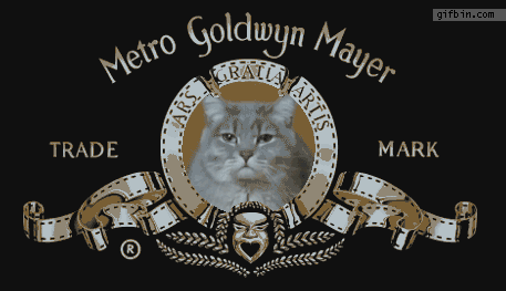 gif graciosas