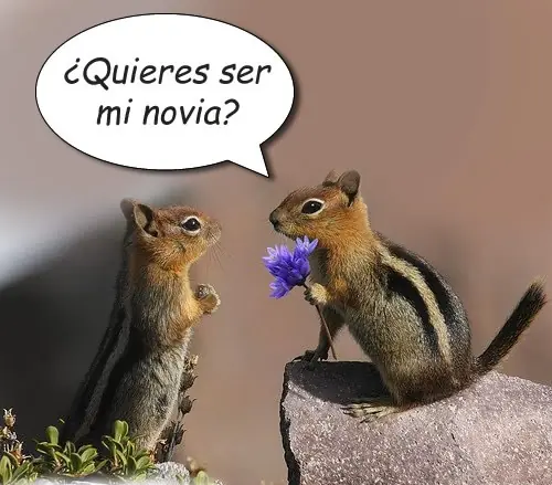 primera cita con una mujer
