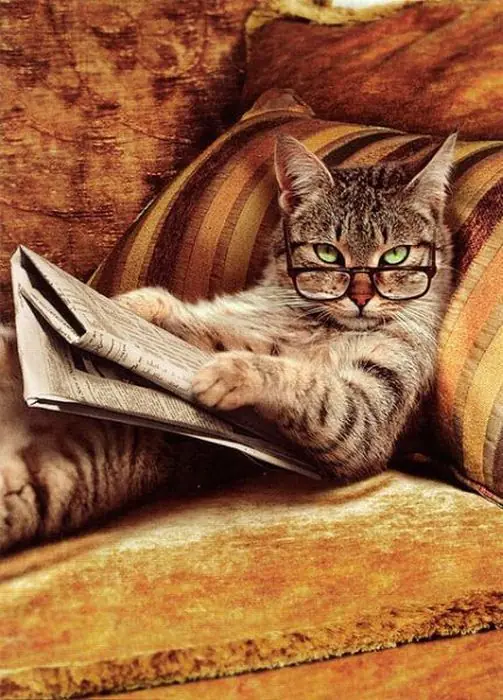 Te explico por qué 50 sombras de Grey es un muy mal libro