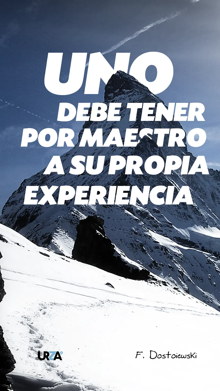 contenido