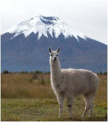 ecuador