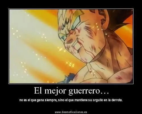 Y si hacemos top al El Principe de los Saiyayins