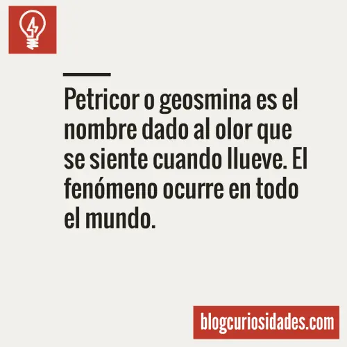 ¿Querían curiosidades? Acá algunas...