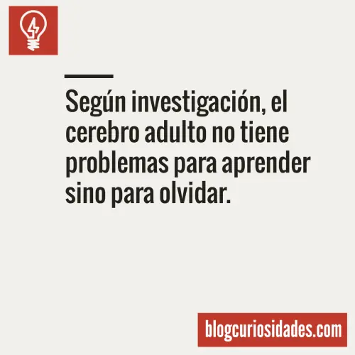 ¿Querían curiosidades? Acá algunas...