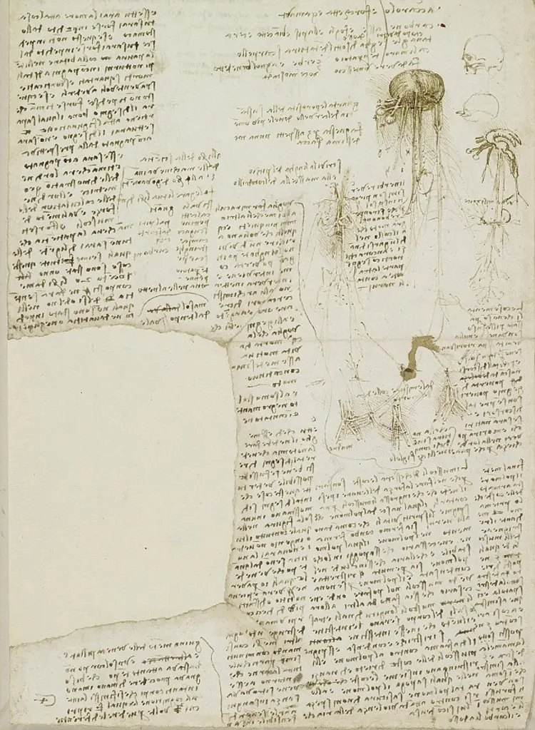 leonardo da vinci