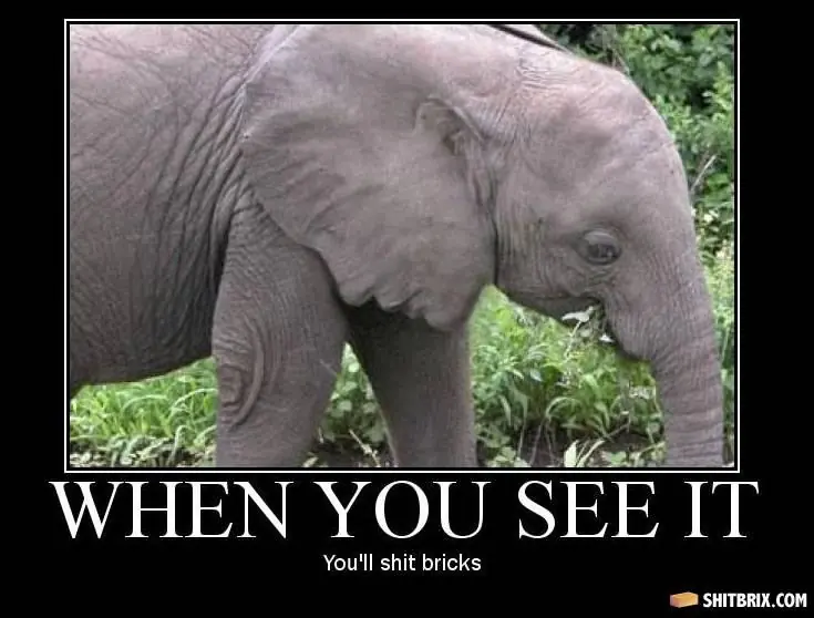 shit bricks...mindfuck pictures