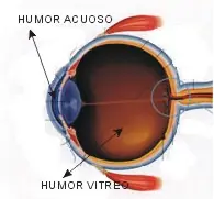 Infecciones y Enfermedades  de Ojos  [Megapost]