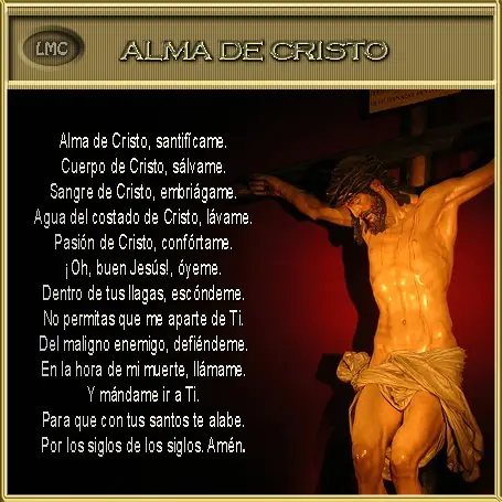Día 50-Santa Biblia en un año Texto y Audio